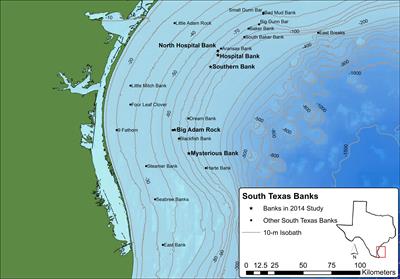 Islands in the mud: The South Texas banks provide crucial mesophotic habitat for coral communities